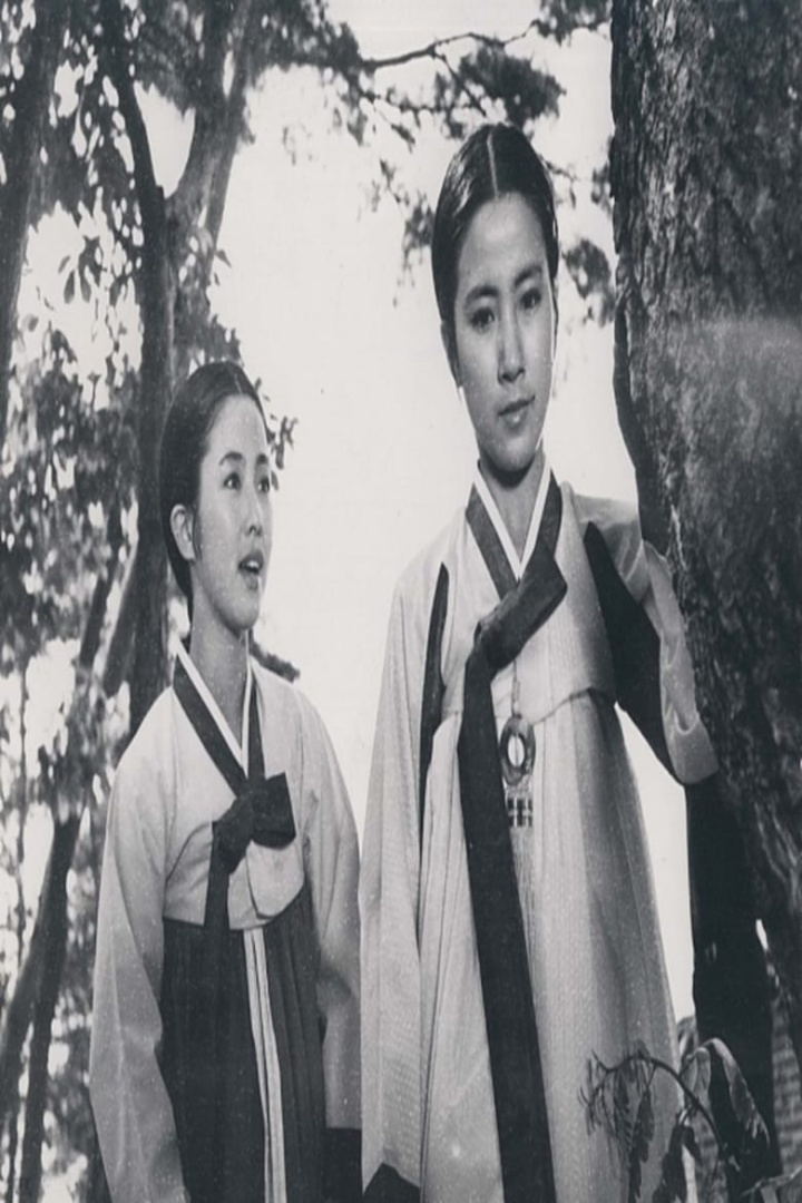 Wedding day i gruppen Alla filmer / Romance hos Mohamad shop (601856)