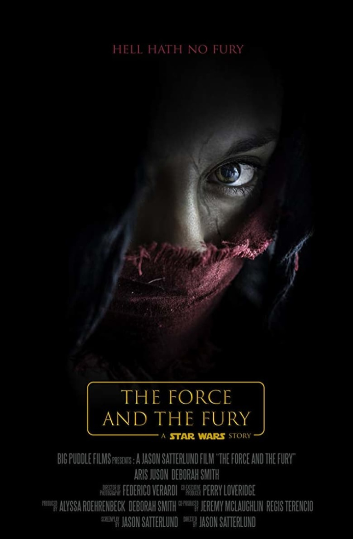 Star Wars: The Force and the Fury i gruppen Alla filmer hos Mohamad shop (602319)