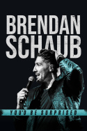 Brendan Schaub: You\'d Be Surprised