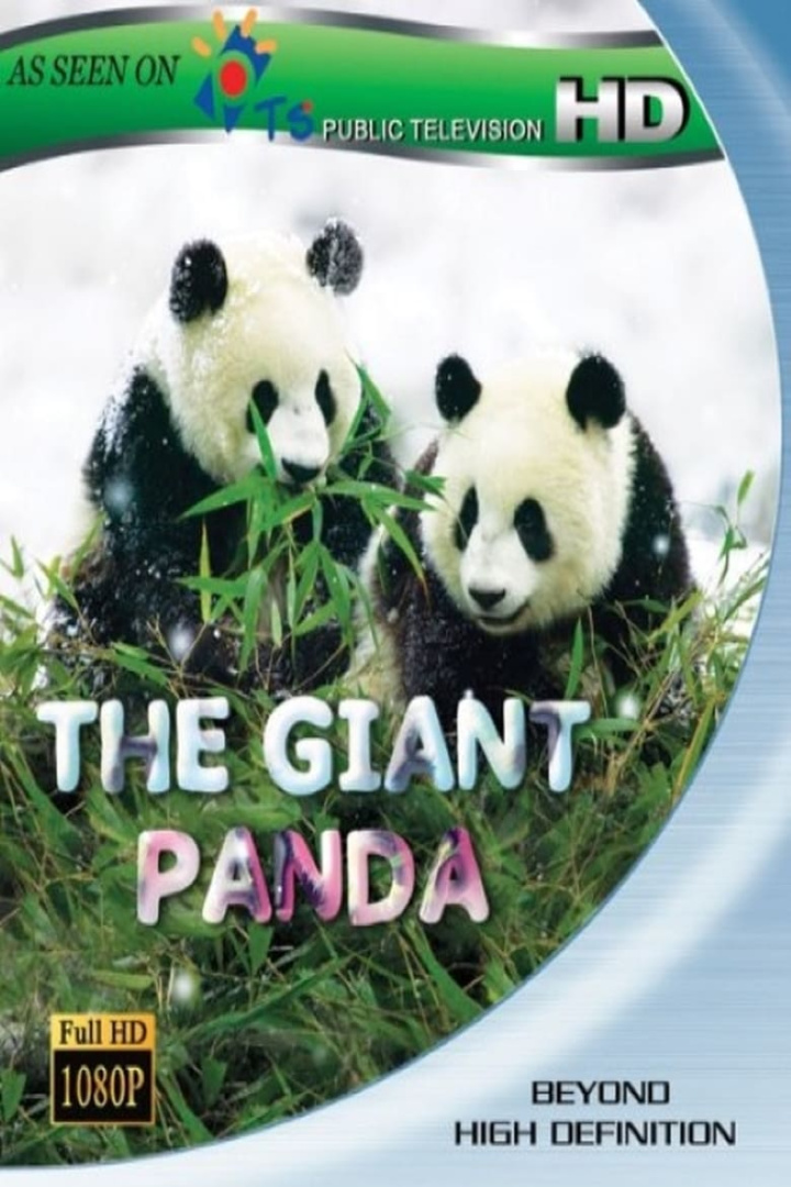 The Giant Panda i gruppen Alla filmer hos Mohamad shop (603631)