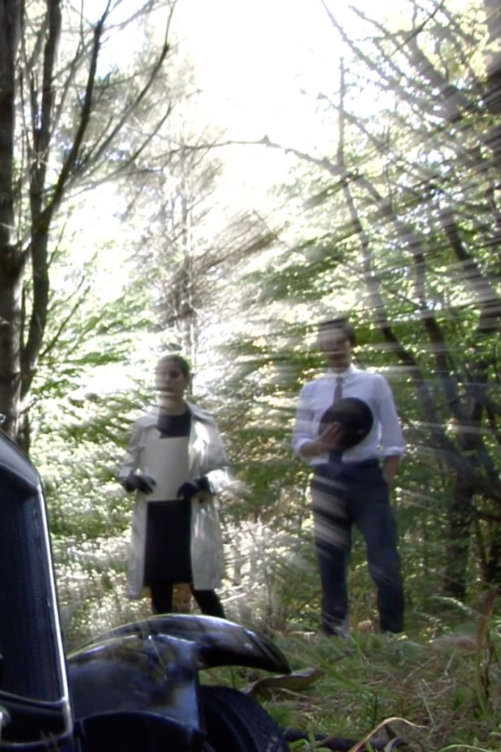 In the Hours of Darkness i gruppen Alla filmer / Horror hos Mohamad shop (603644)