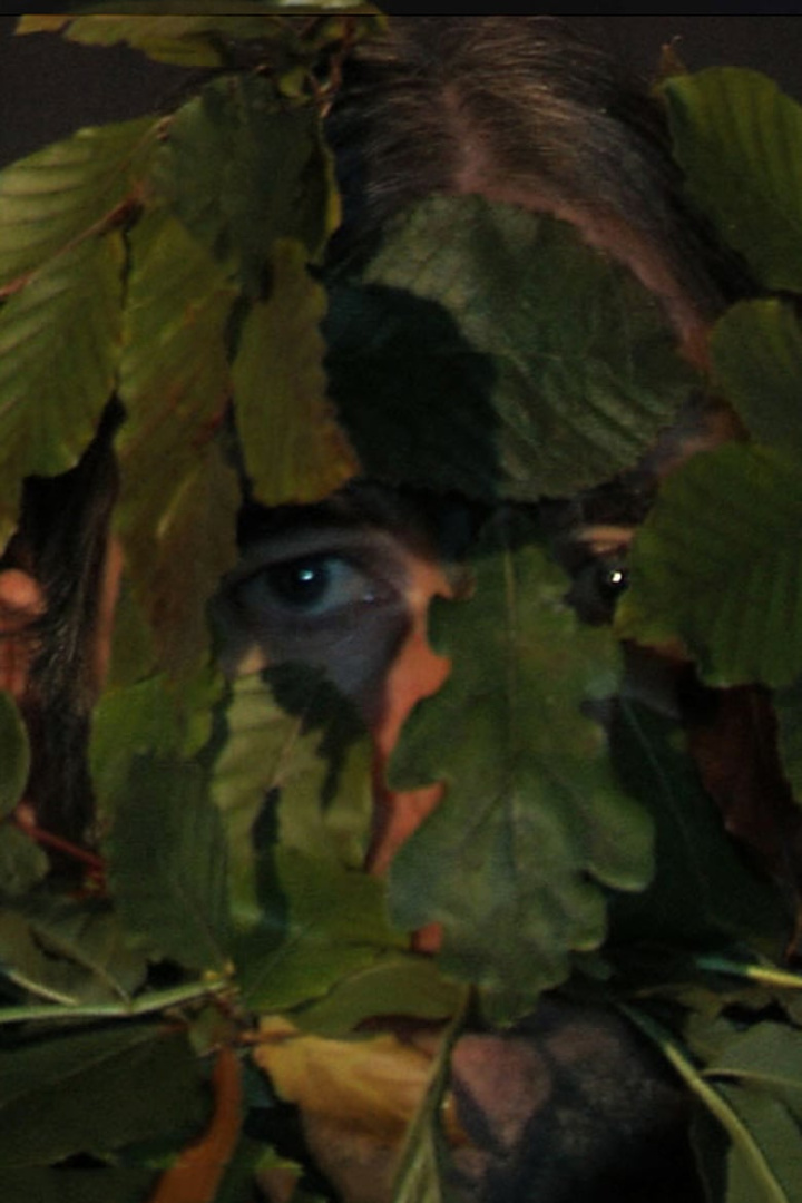 Green Man i gruppen Alla filmer / Documentary hos Mohamad shop (603941)