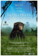 Bonobos: Back to the Wild