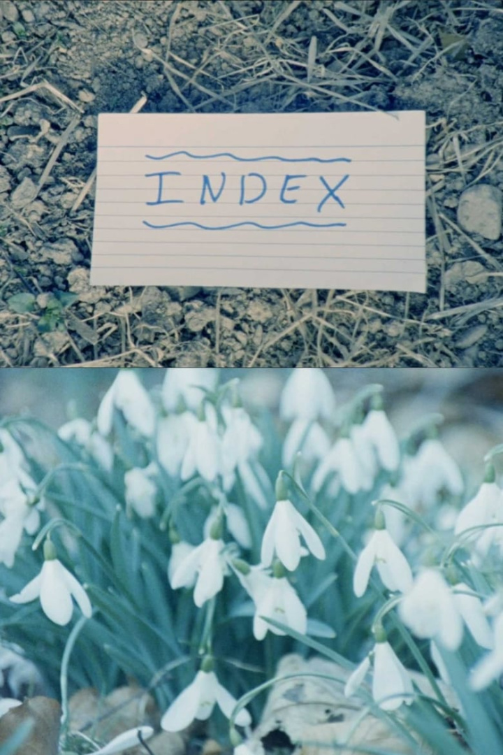 Index i gruppen Alla filmer hos Mohamad shop (604326)