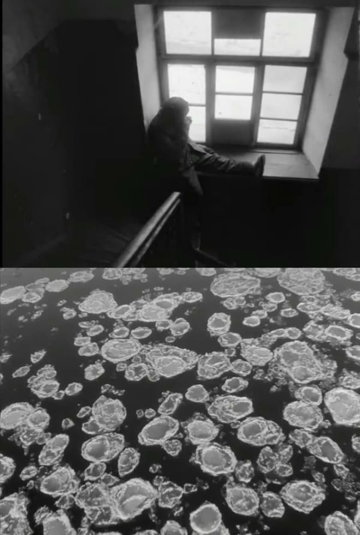 Wanderers of White Time i gruppen Alla filmer hos Mohamad shop (604391)