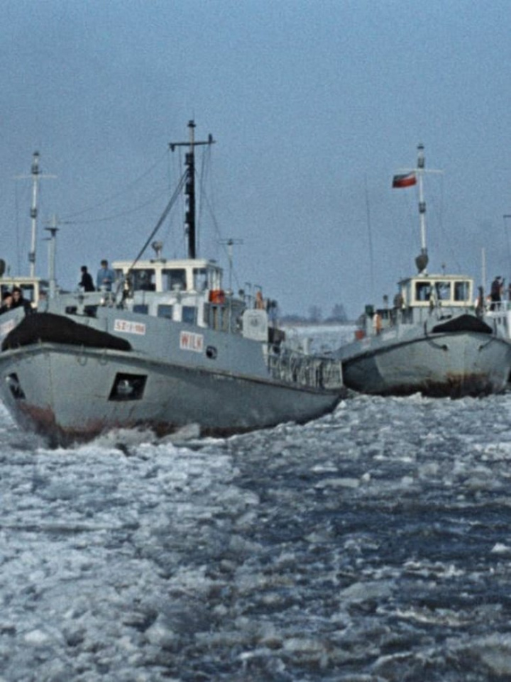 Auf der Oder i gruppen Alla filmer hos Mohamad shop (604409)