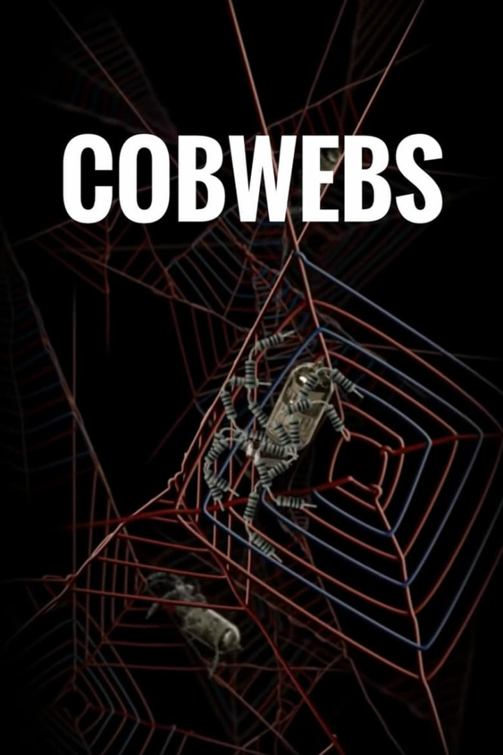 Cobwebs i gruppen Alla filmer / Animation hos Mohamad shop (604444)