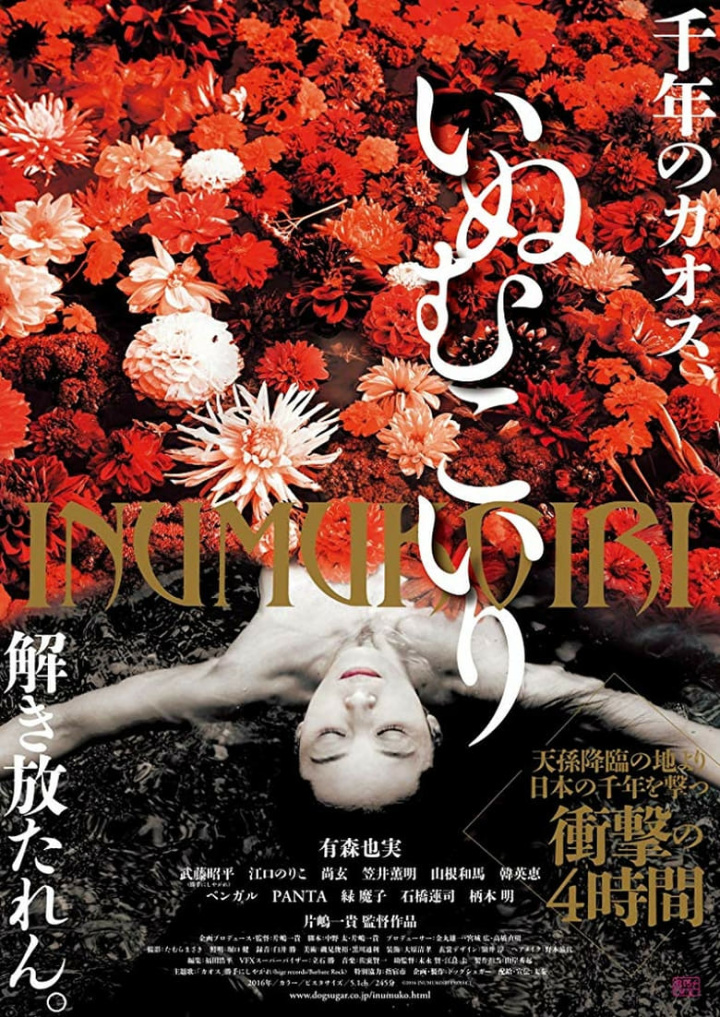 The Dog Bridegroom i gruppen Alla filmer / Drama hos Mohamad shop (605083)