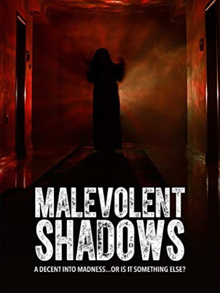 Malevolent Shadows i gruppen Alla filmer / Horror hos Mohamad shop (605124)