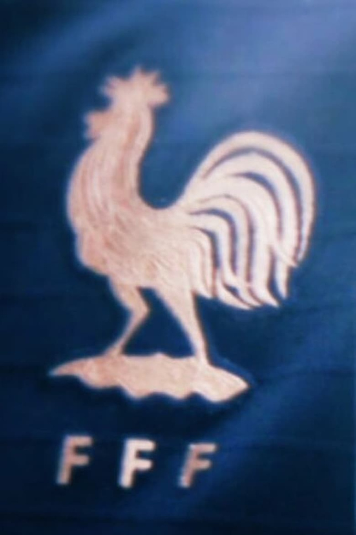 Bleues i gruppen Alla filmer / Documentary hos Mohamad shop (605324)