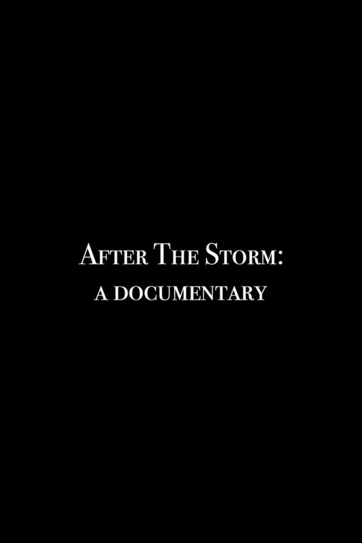 After the Storm: A Documentary i gruppen Alla filmer / Documentary hos Mohamad shop (605451)