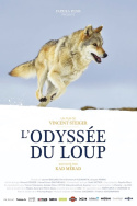 L\'odysée du loup