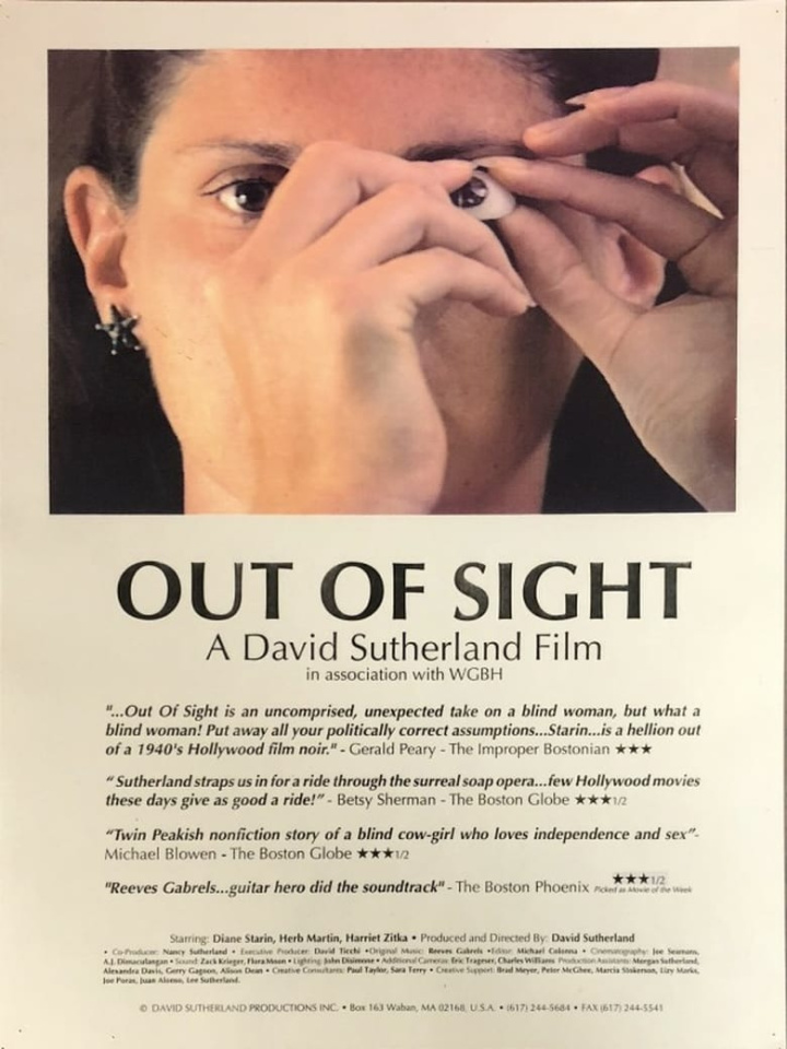 Out of Sight i gruppen Alla filmer / Documentary hos Mohamad shop (605697)