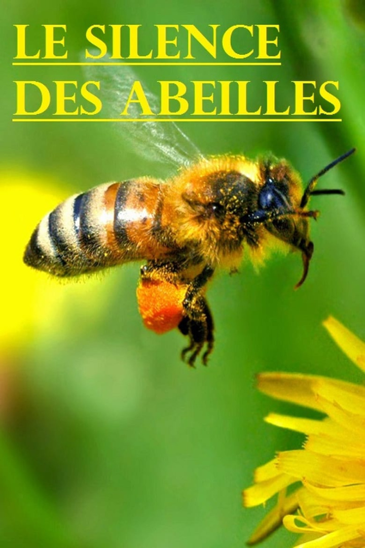 Le silence des abeilles i gruppen Alla filmer / Documentary hos Mohamad shop (606607)
