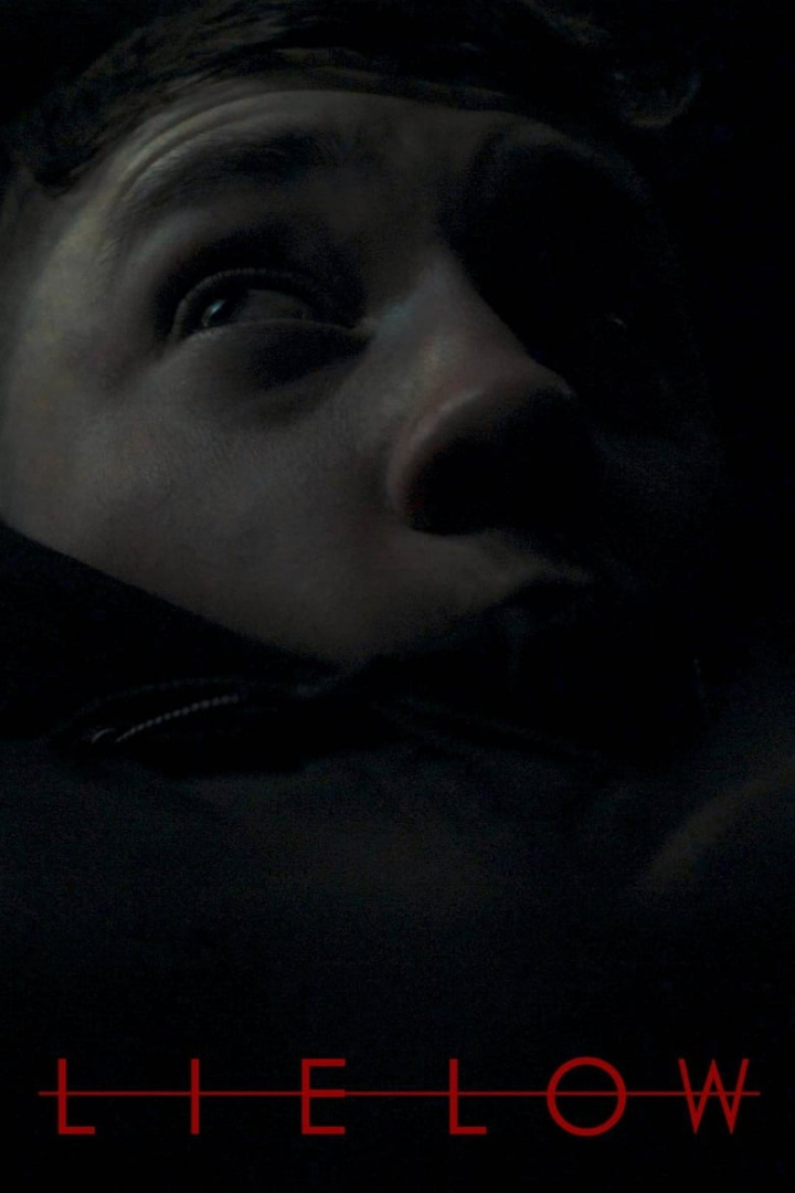 Lie Low i gruppen Alla filmer / Thriller hos Mohamad shop (606775)