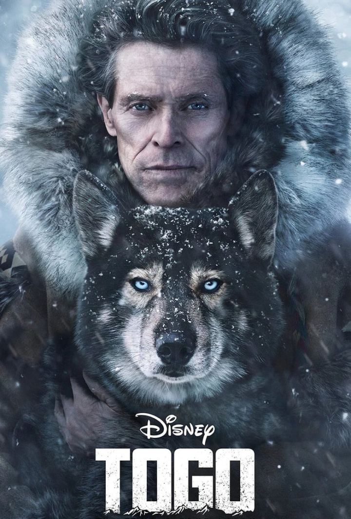 Togo i gruppen Alla filmer hos Mohamad shop (606856)