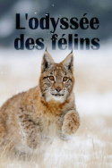L\'odyssée des félins