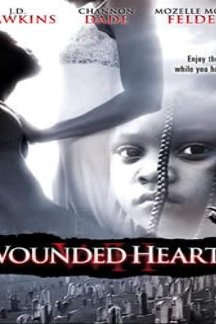 Wounded Hearts i gruppen Alla filmer / Drama hos Mohamad shop (607420)