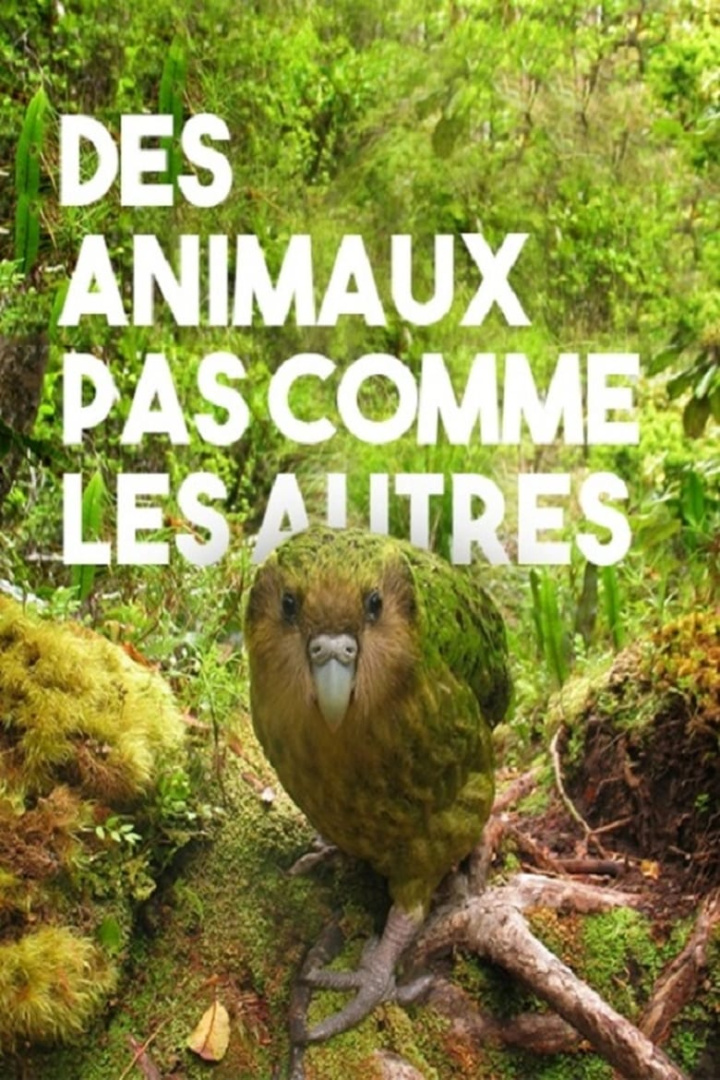 Des animaux pas comme les autres i gruppen Alla filmer / Documentary hos Mohamad shop (607565)