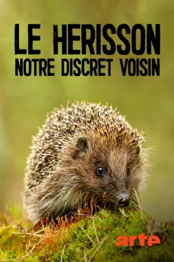 Le hérisson, notre discret voisin i gruppen Alla filmer / Documentary hos Mohamad shop (607727)