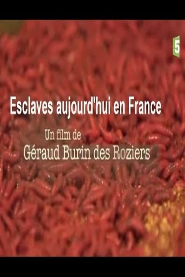 Esclaves aujourd\'hui en France i gruppen Alla filmer / Documentary hos Mohamad shop (607888)