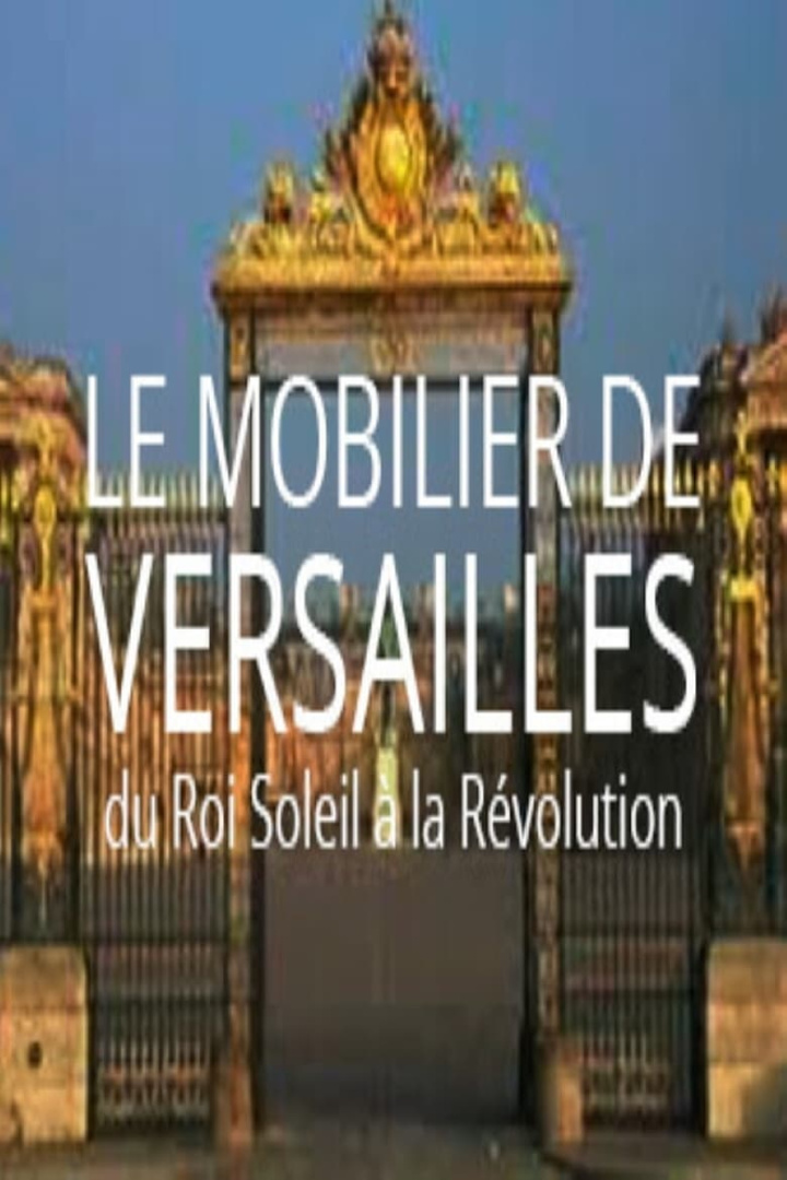 Le mobilier de Versailles, du Roi-soleil à la révolution i gruppen Alla filmer / Documentary hos Mohamad shop (607937)