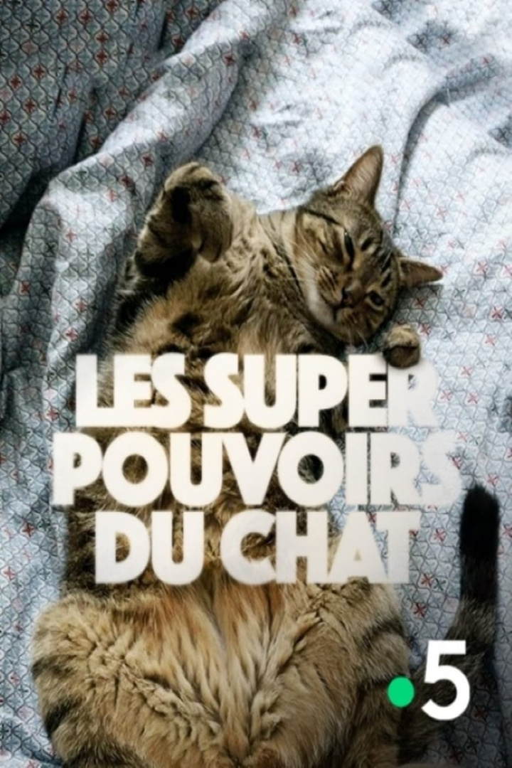 Les super-pouvoirs du chat i gruppen Alla filmer / Documentary hos Mohamad shop (607969)