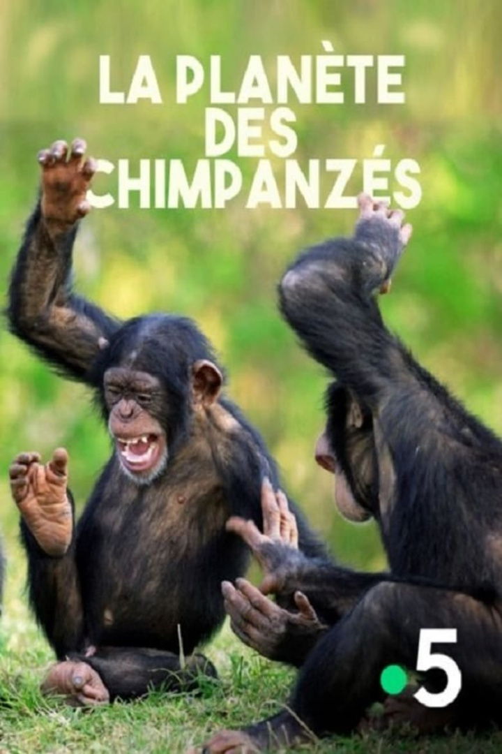 La planète des chimpanzés i gruppen Alla filmer / Documentary hos Mohamad shop (608308)