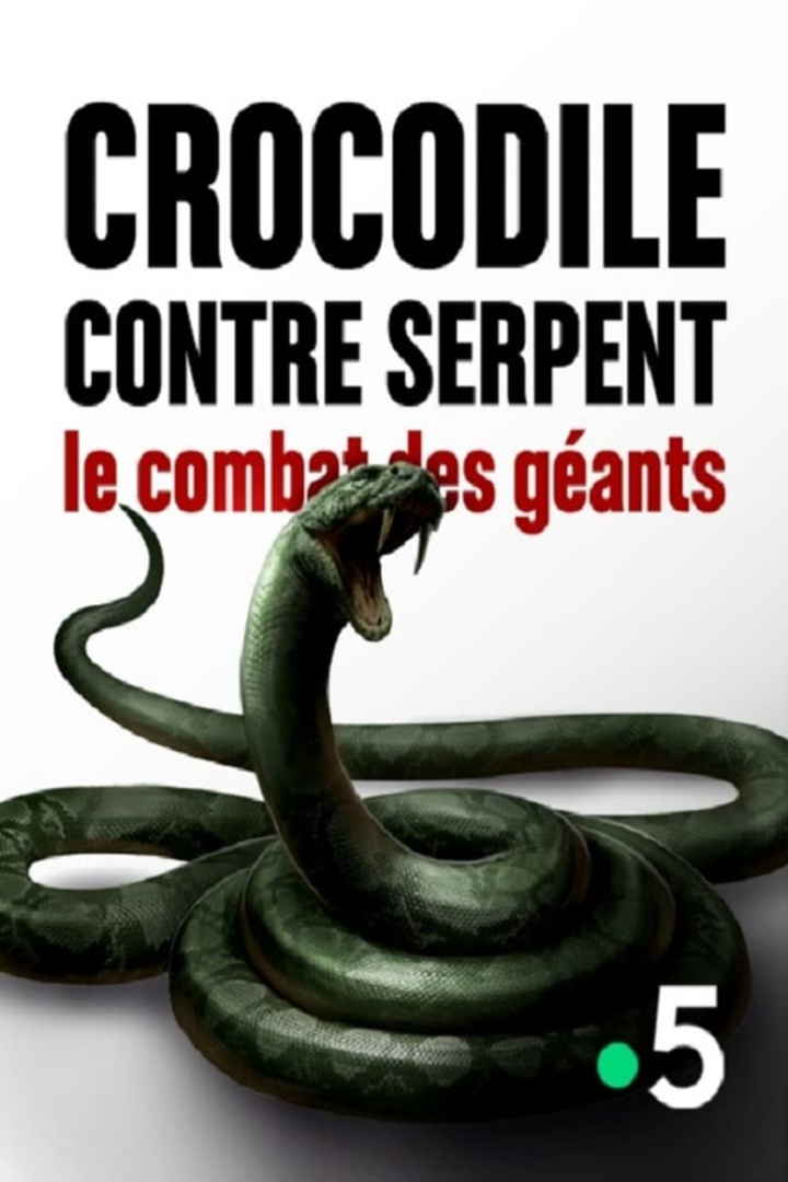 Crocodile contre serpent Le combat des géants i gruppen Alla filmer / Documentary hos Mohamad shop (608310)
