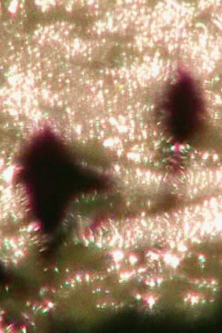 sueño del solsticio i gruppen Alla filmer / Documentary hos Mohamad shop (608373)