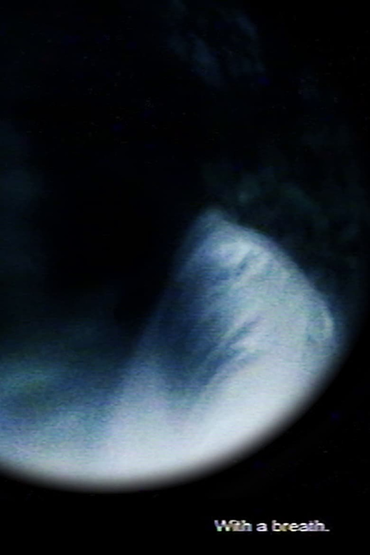 With a Breath. i gruppen Alla filmer / Documentary hos Mohamad shop (608914)