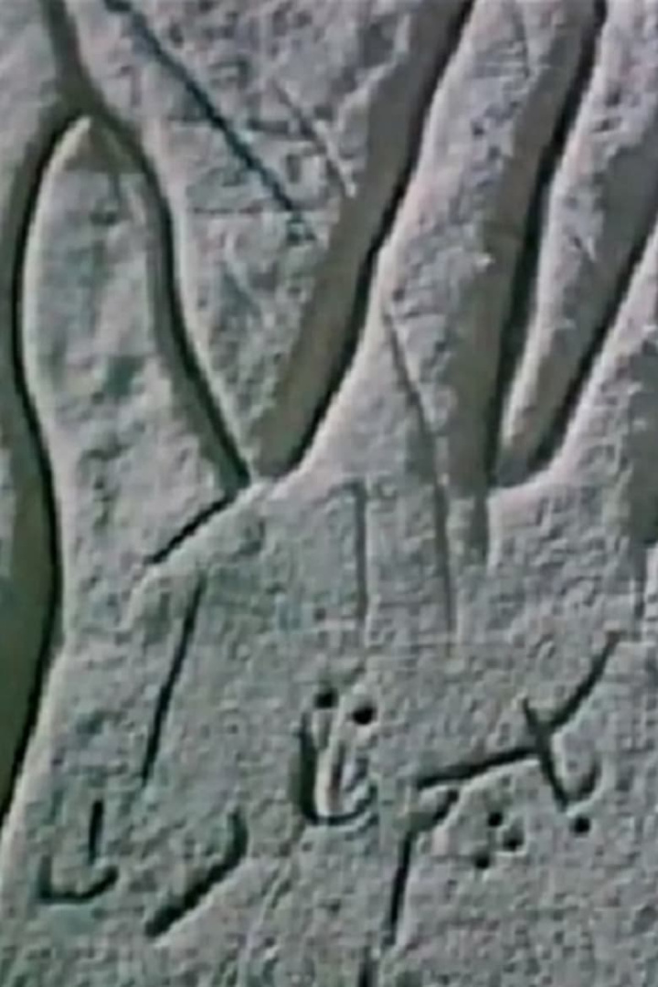 The Secrecy of an Open Palm i gruppen Alla filmer / Documentary hos Mohamad shop (609730)