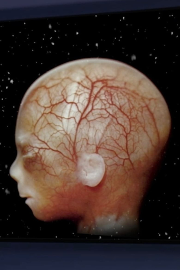 Ariadne i gruppen Alla filmer / Fantasy hos Mohamad shop (609781)