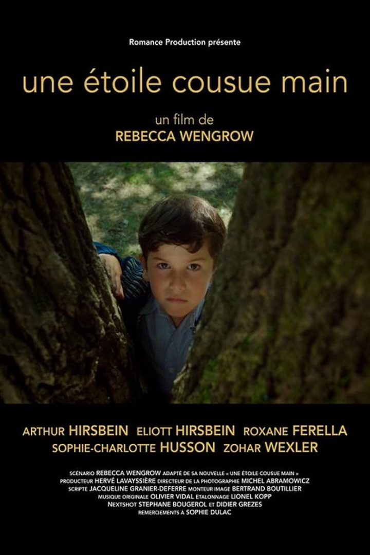 A Hand Sewn Star i gruppen Alla filmer hos Mohamad shop (609820)