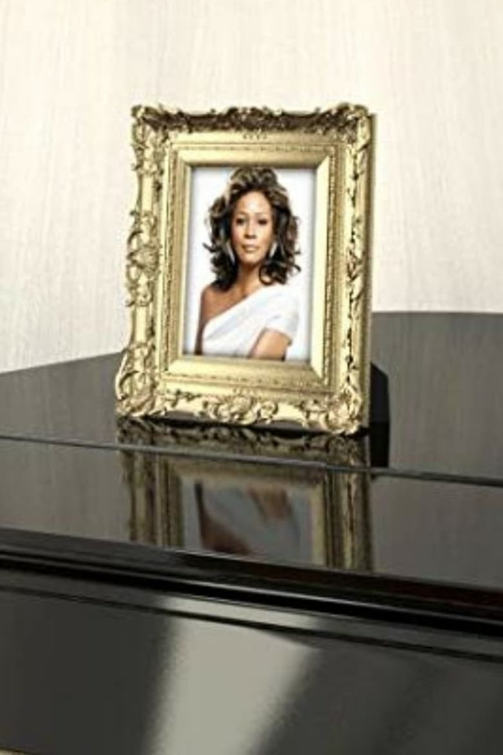 The Houstons Remember Whitney i gruppen Alla filmer hos Mohamad shop (609974)