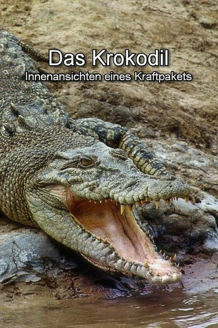 Das Krokodil - Innenansichten eines Kraftpakets i gruppen Alla filmer / Documentary hos Mohamad shop (610352)