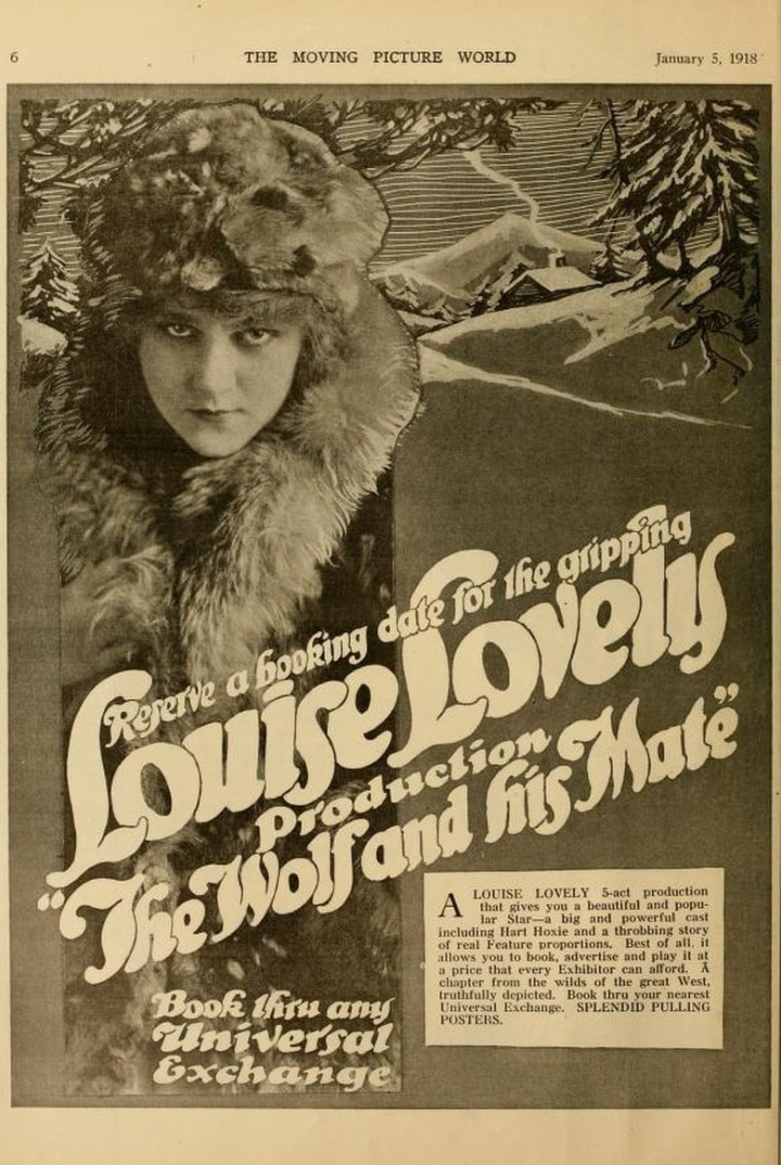 The Wolf and His Mate i gruppen Alla filmer / Drama hos Mohamad shop (610924)