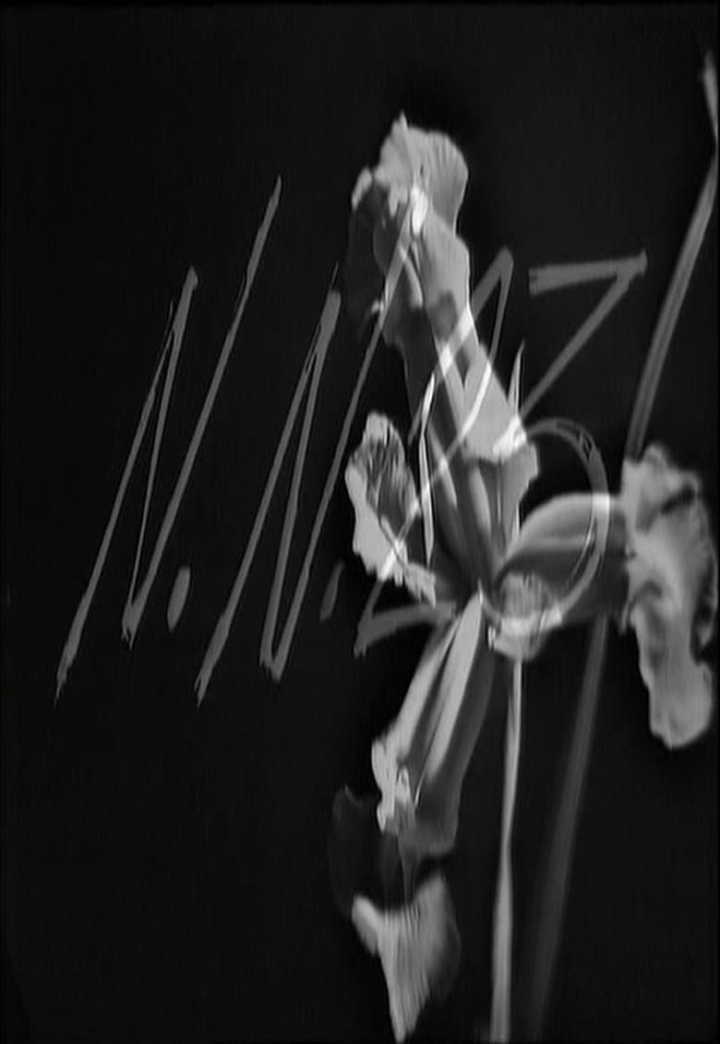 N.N. 23 i gruppen Alla filmer / Science Fiction hos Mohamad shop (611037)
