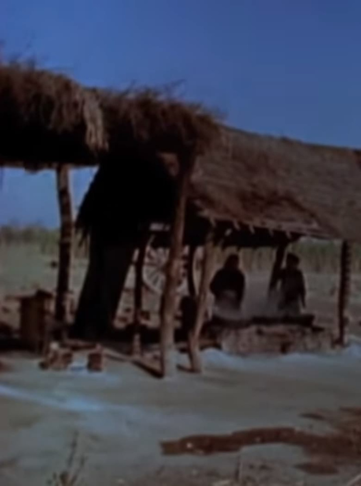 Trapiches caseros i gruppen Alla filmer hos Mohamad shop (611461)