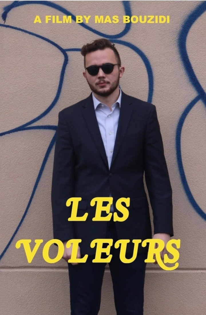 Les Voleurs i gruppen Alla filmer / Crime hos Mohamad shop (611511)