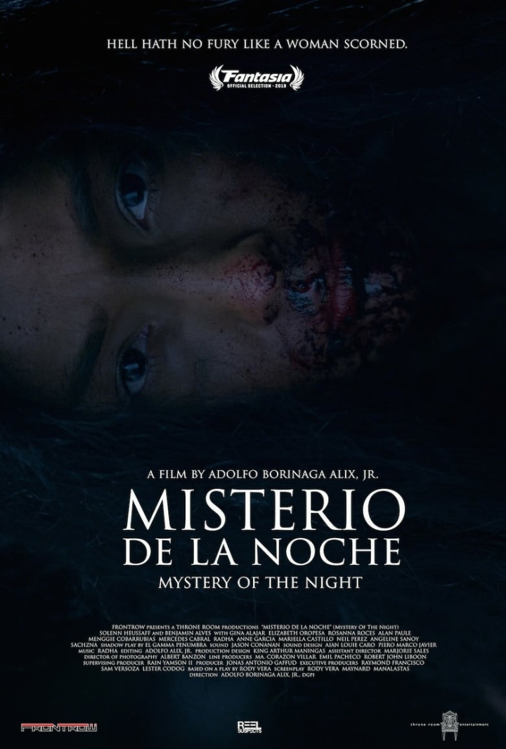 Mystery of the Night i gruppen Alla filmer / Horror hos Mohamad shop (611649)
