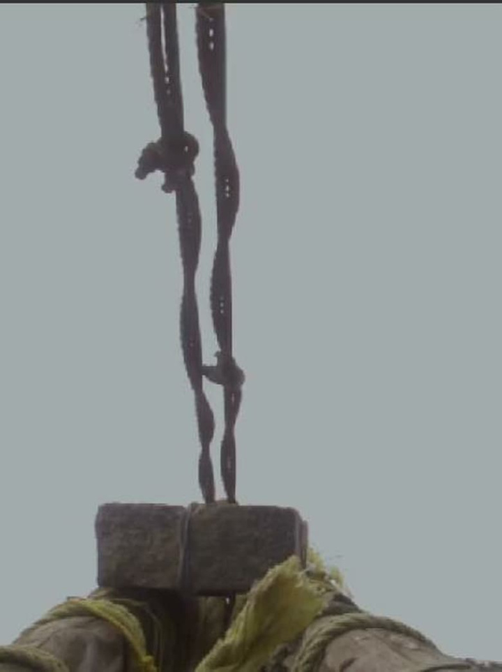 Bound on Earth i gruppen Alla filmer / Documentary hos Mohamad shop (611798)