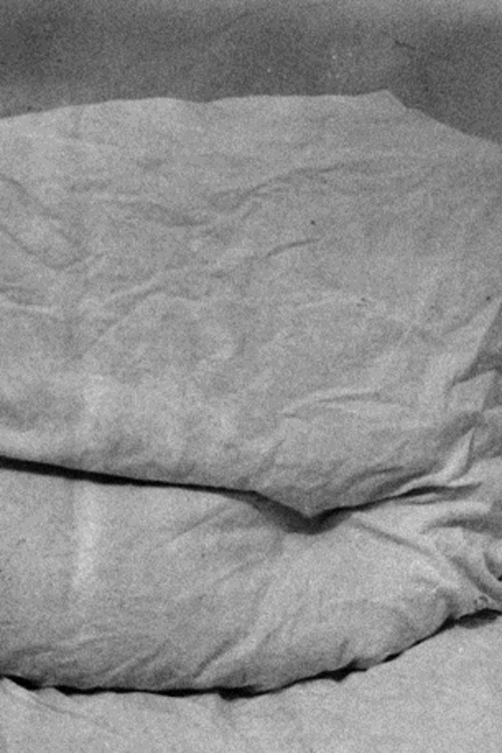 For Dürer i gruppen Alla filmer / Animation hos Mohamad shop (611932)