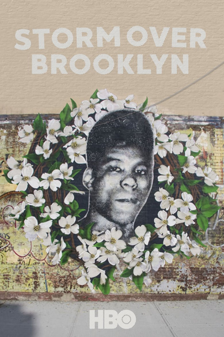 Storm Over Brooklyn i gruppen Alla filmer / Documentary hos Mohamad shop (612506)
