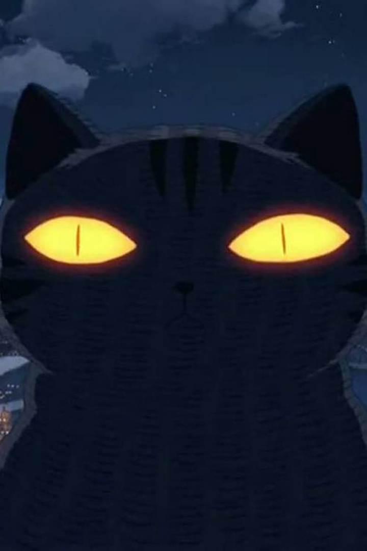 A Gathering of Cats i gruppen Alla filmer / Science Fiction hos Mohamad shop (612974)