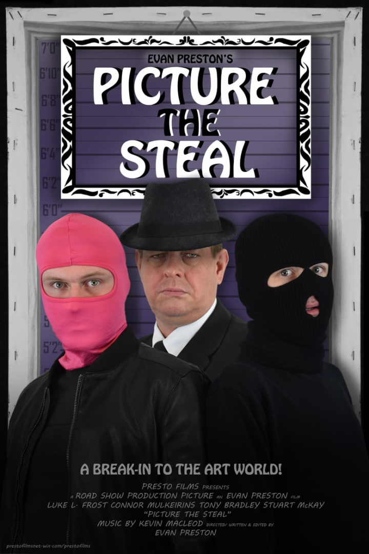 Picture the Steal i gruppen Alla filmer / Crime hos Mohamad shop (613210)