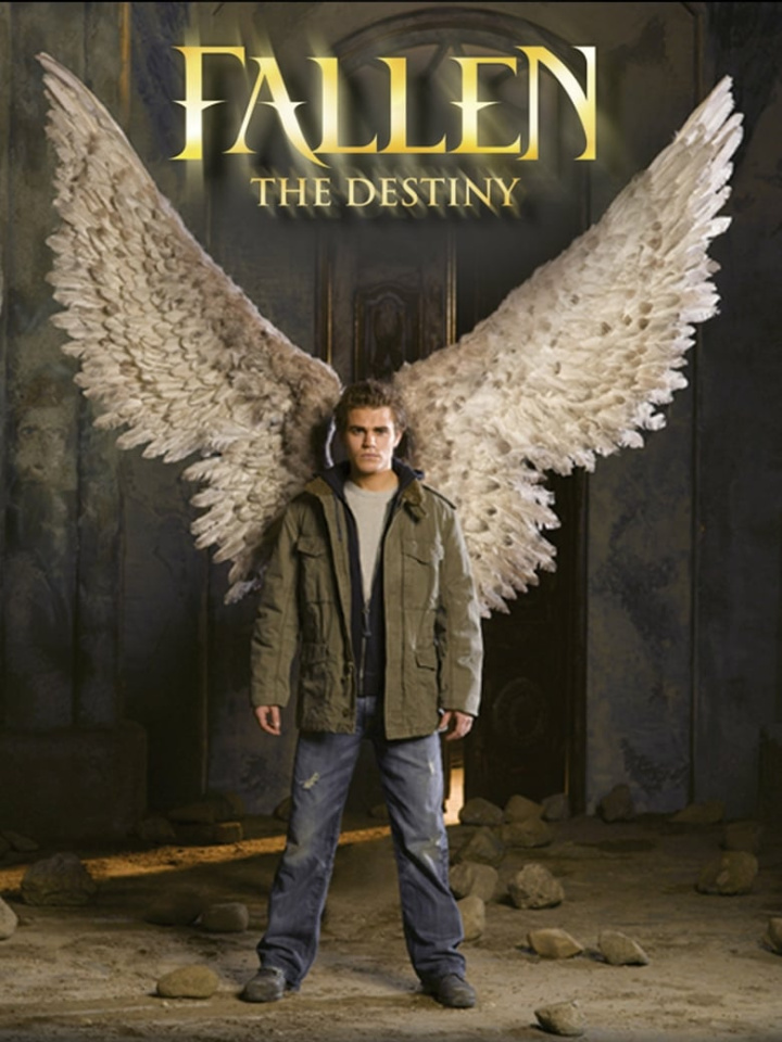 Fallen 3 - The Destiny i gruppen Alla filmer hos Mohamad shop (613449)