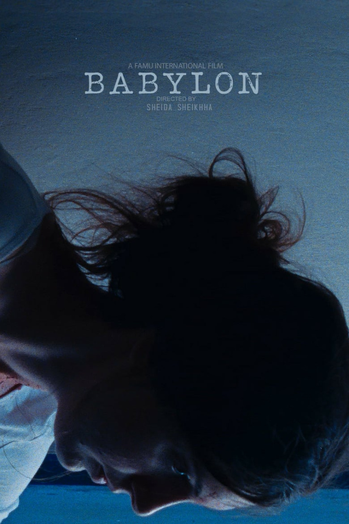 Babylon i gruppen Alla filmer / Thriller hos Mohamad shop (613819)