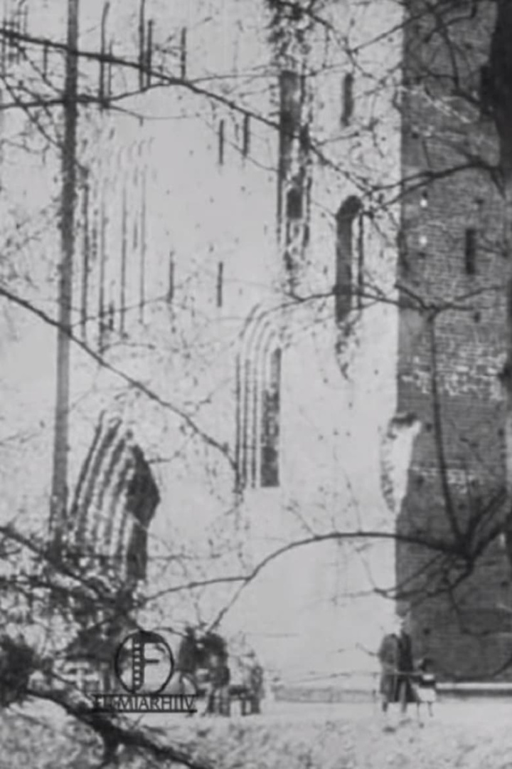 Historical Remembrances of Estonia\'s Past i gruppen Alla filmer / Documentary hos Mohamad shop (614078)