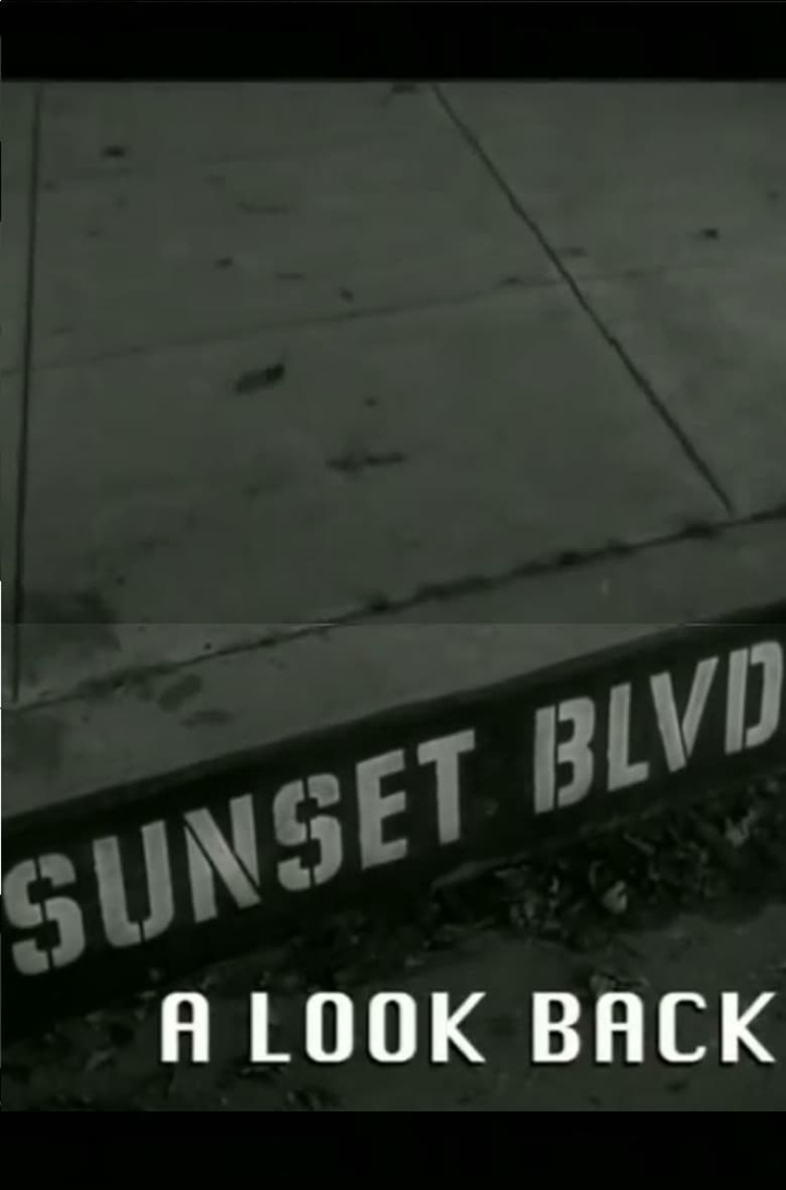 Sunset Boulevard: A Look Back i gruppen Alla filmer hos Mohamad shop (614679)